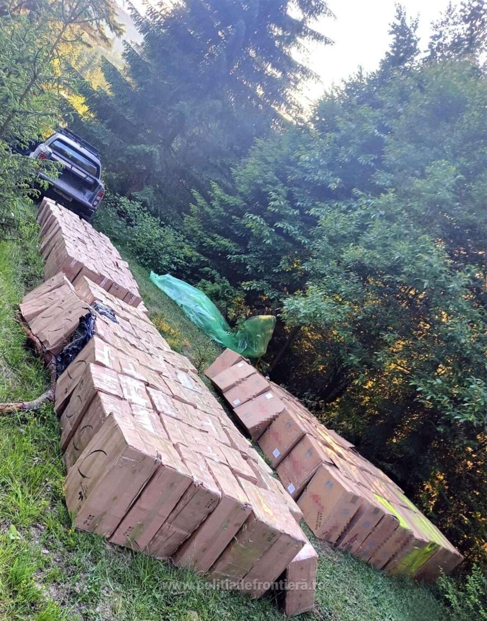 Țigări în valoare de peste 1,7 milioane de lei, ascunse de contrabandiști în pădure și descoperite de polițiștii de frontieră