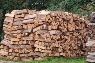 Majorarea TVA-ului la lemnul de foc, un risc uriaș pentru 3,5 milioane de gospodării