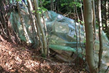 Țigări în valoare de peste 1,7 milioane de lei, ascunse de contrabandiști în pădure și descoperite de polițiștii de frontieră