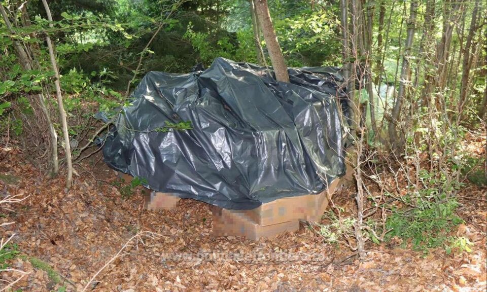 Țigări în valoare de peste 1,7 milioane de lei, ascunse de contrabandiști în pădure și descoperite de polițiștii de frontieră