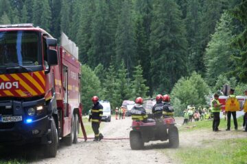 Un incendiu de vegetație forestieră s-a extins cu repeziciune din cauza vântului puternic