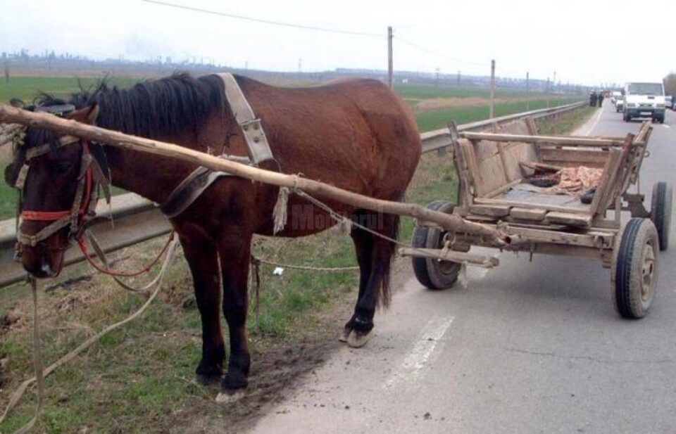 Bărbat mort după ce a trecut căruța peste el (foto generic)