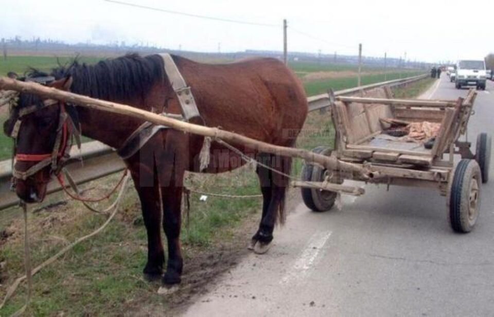Bărbat mort după ce a trecut căruța peste el (fotografie generică)