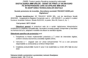 DIGITALIZAREA IMM-URILOR - GRANT DE PÂNĂ LA 100.000 EURO PE ÎNTREPRINDERE CARE SĂ SPRIJINE IMM-URILE ÎN ADOPTAREA TEHNOLOGIILOR DIGITALE