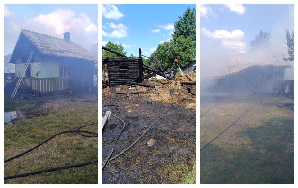 Un incendiu uriaș a mistuit o casă, anexe și mai multe animale