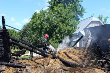Un incendiu uriaș a mistuit o casă, anexe și mai multe animale