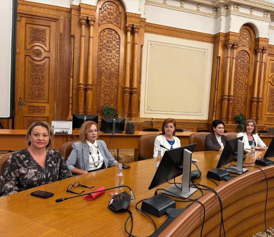 Intalnire la Comisia Juridica pentru inasprirea pedepselor fata de agresorii femeilor