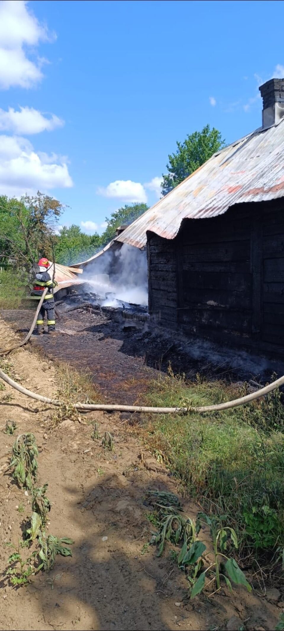 Un incendiu uriaș a mistuit o casă, anexe și mai multe animale