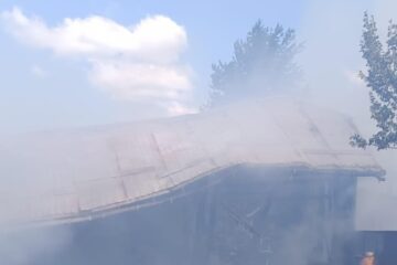 Un incendiu uriaș a mistuit o casă, anexe și mai multe animale