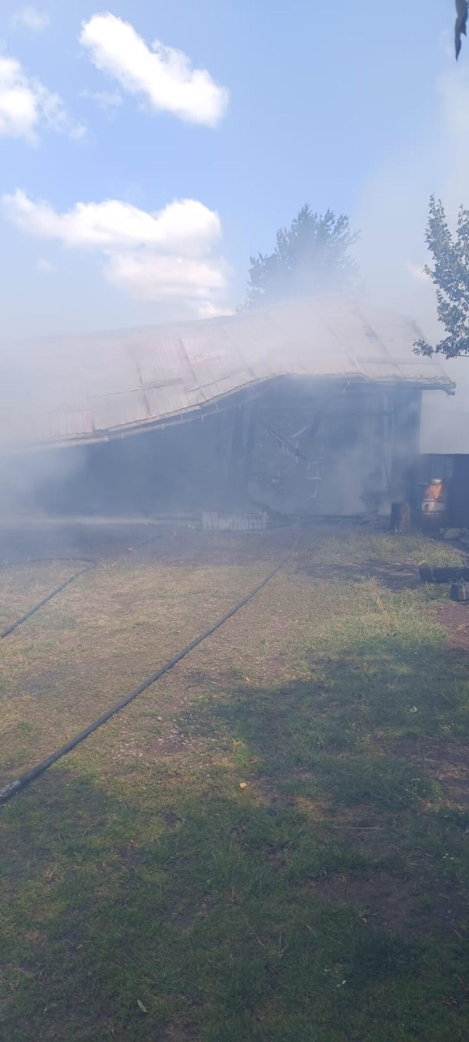 Un incendiu uriaș a mistuit o casă, anexe și mai multe animale
