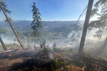 Peste 40 de pompieri militari și silvicultori s-au luptat miercuri până târziu în noapte cu un incendiu în fondul forestier la Sadova