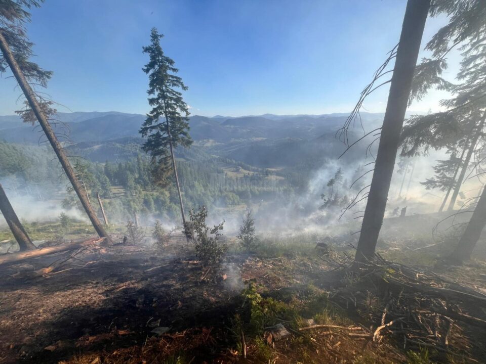 Peste 40 de pompieri militari și silvicultori s-au luptat miercuri până târziu în noapte cu un incendiu în fondul forestier la Sadova