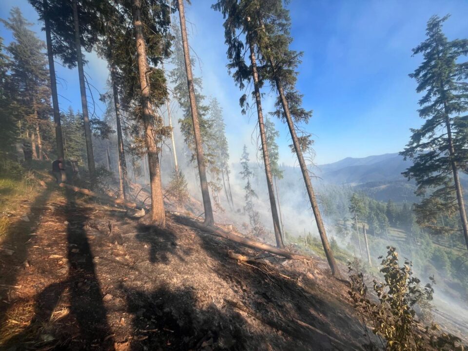 Peste 40 de pompieri militari și silvicultori s-au luptat miercuri până târziu în noapte cu un incendiu în fondul forestier la Sadova