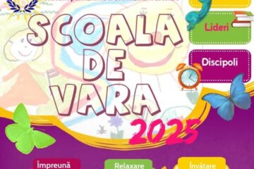Școli de vară
