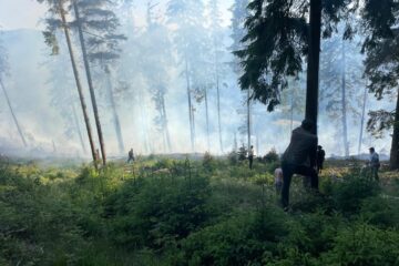 Peste 40 de pompieri militari și silvicultori s-au luptat miercuri până târziu în noapte cu un incendiu în fondul forestier la Sadova