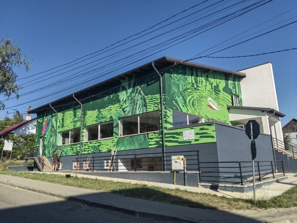 Prima pictură murală de mari dimensiuni din Siret, realizată de artistul polonez Wojciech Woźniak, vernisată vineri. Sursa foto FB - Institutul Polonez din București