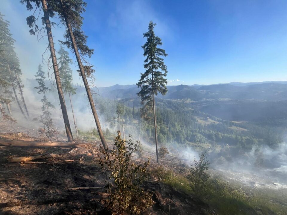 Peste 40 de pompieri militari și silvicultori s-au luptat miercuri până târziu în noapte cu un incendiu în fondul forestier la Sadova