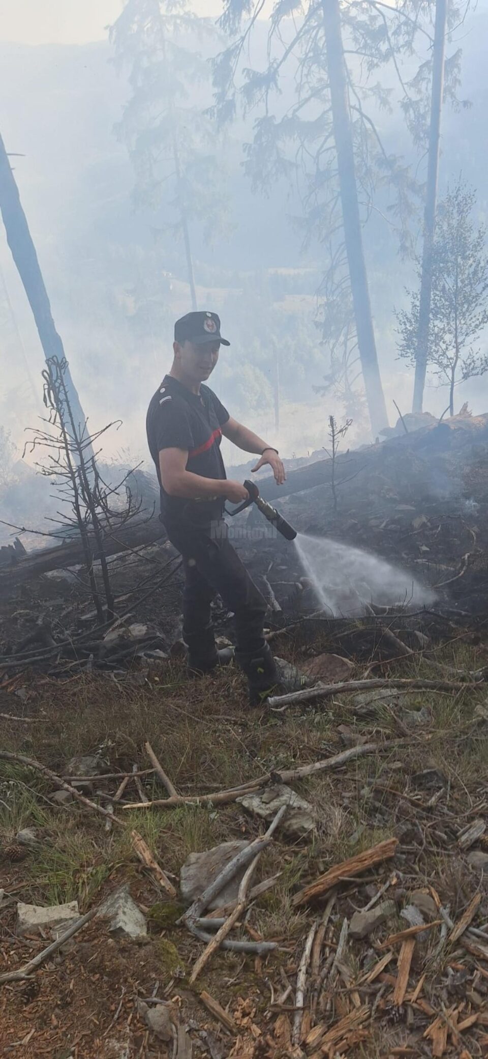 Peste 40 de pompieri militari și silvicultori s-au luptat miercuri până târziu în noapte cu un incendiu în fondul forestier la Sadova