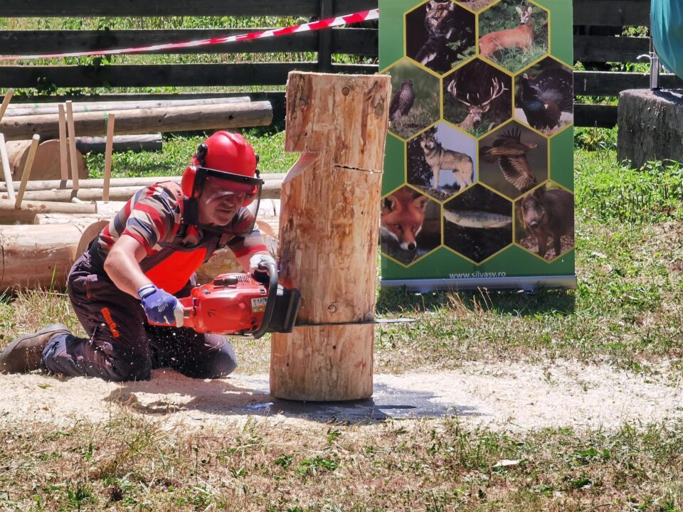 Spectaculoase probe ale concursului „Cel mai bun fasonator”, desfășurat la Ocolul Silvic Moldovița