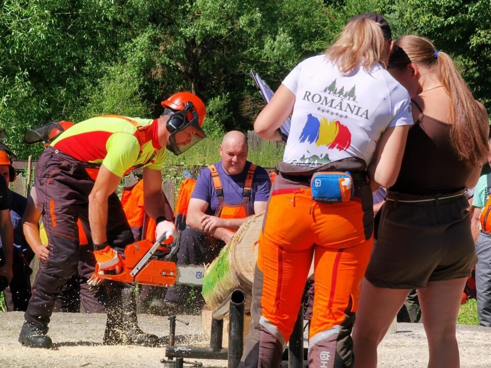 Spectaculoase probe ale concursului „Cel mai bun fasonator”, desfășurat la Ocolul Silvic Moldovița
