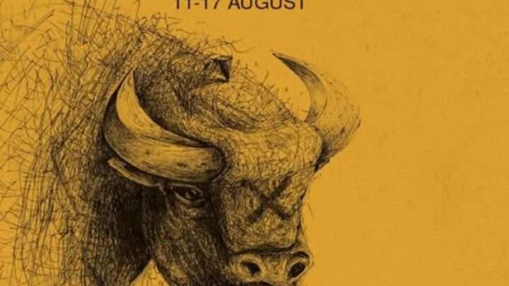 Câmpulung Film Fest (CFF), ediția a X-a