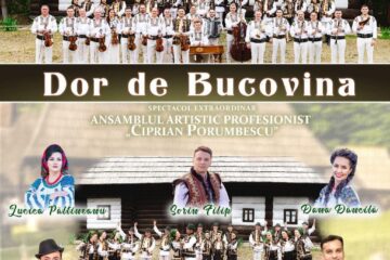 Pe 12 și 13 iulie, în orașul Cajvana va avea loc o nouă ediție a festivalului „Din stejar, stejar răsare”