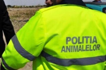 Poliția Animalelor