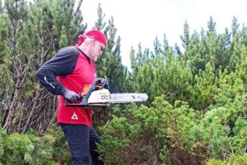 Salvamont Suceava reamenajează traseele turistice din masivele Călimani și Rarău