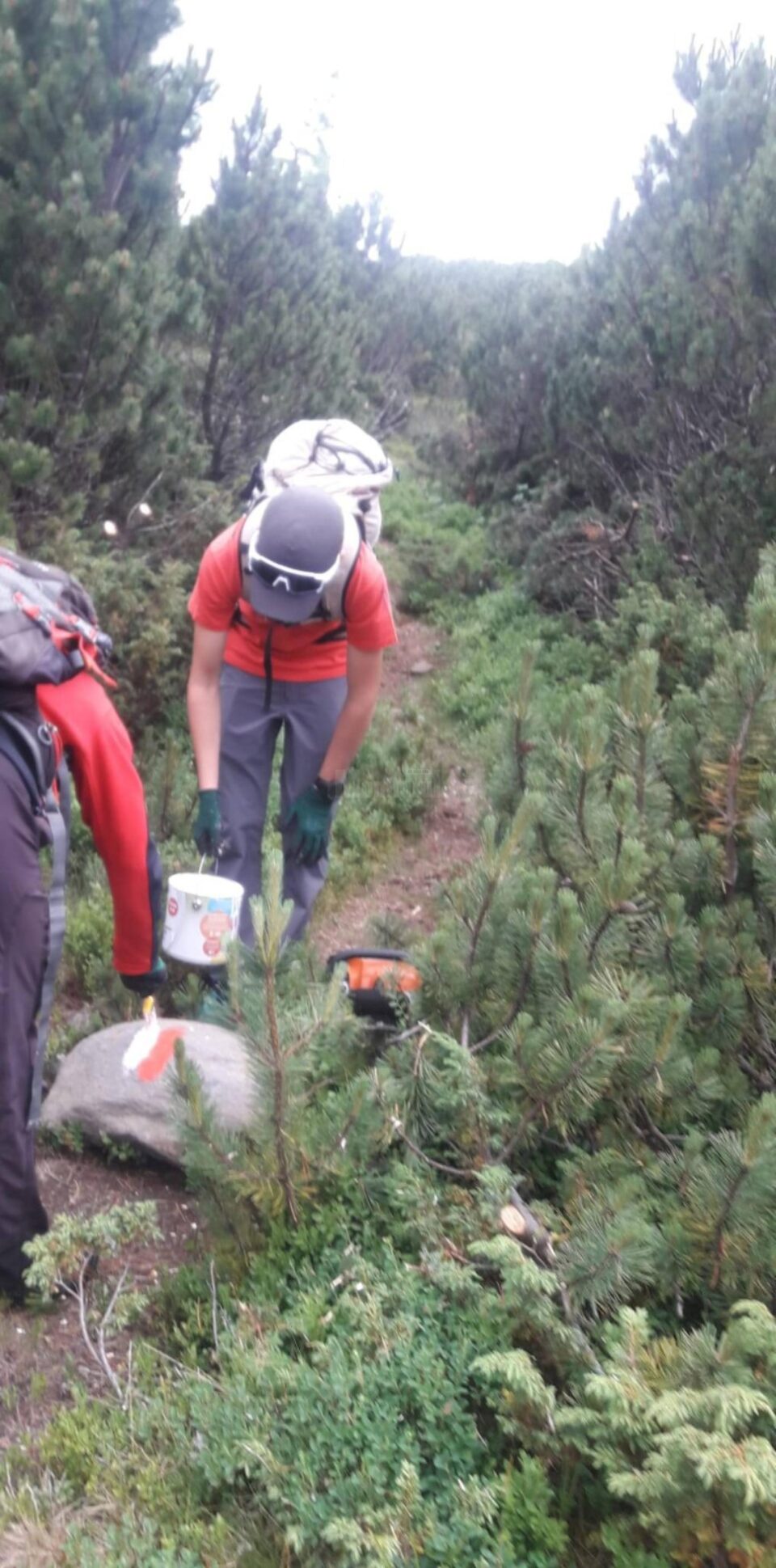 Salvamont Suceava reamenajează traseele turistice din masivele Călimani și Rarău