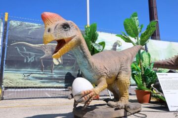 Expoziție de dinozauri, în parcarea Iulius Mall Suceava
