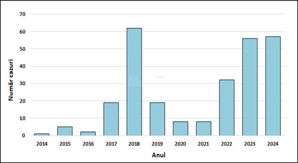 Evoluția numărului de cazuri