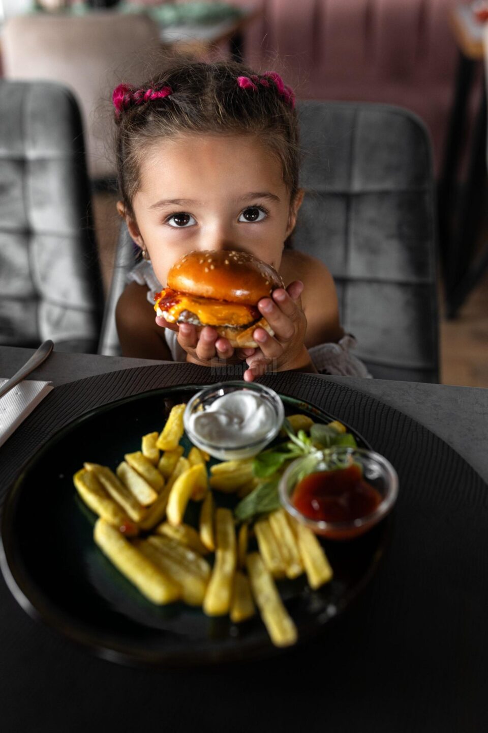 Moldavian Burger din Ipotesti, la 2 km de Suceava