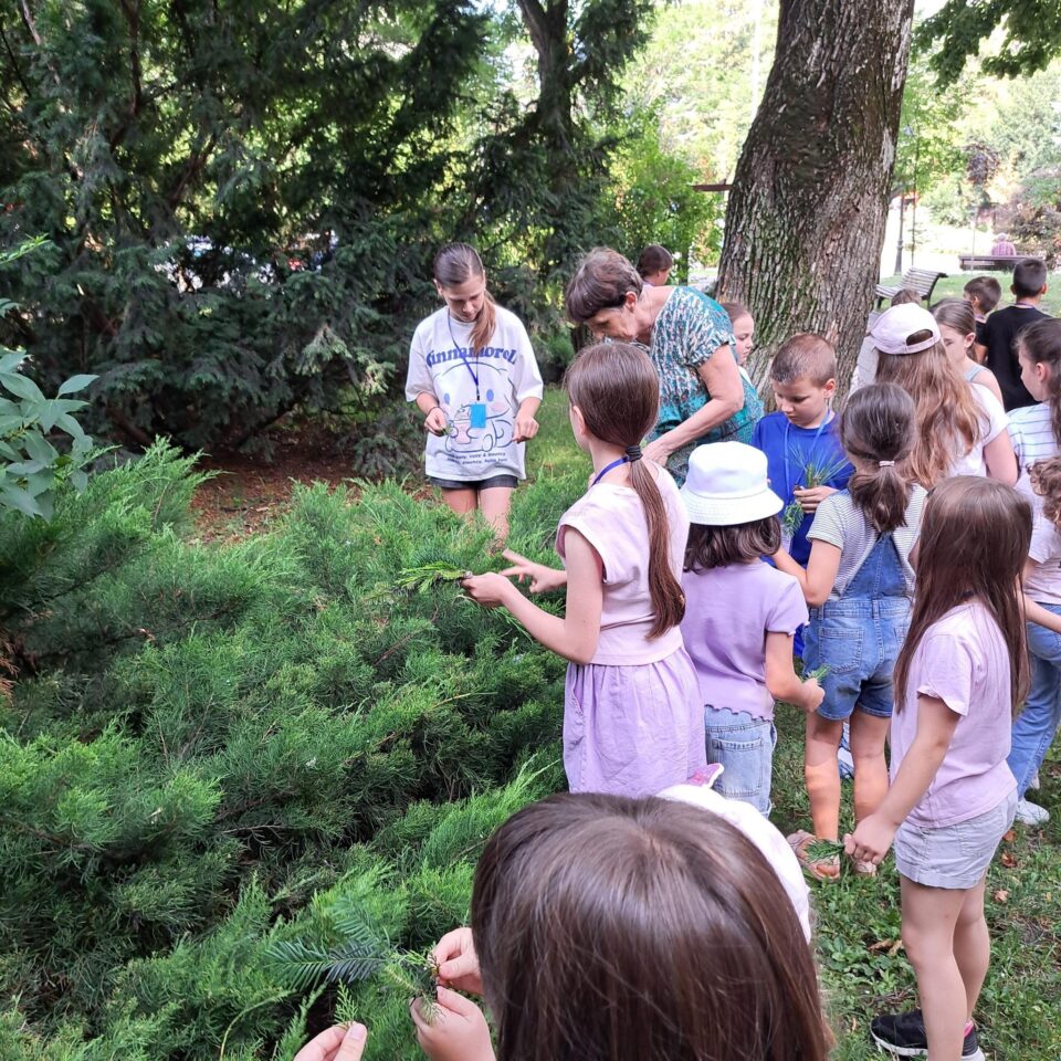 Sub îndrumarea muzeografului Lili Flutur, copiii explorează și învață lucruri noi despre natură Sub îndrumarea muzeografului Lili Flutur, copiii explorează și învață lucruri noi despre natură