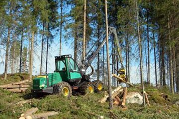 „Exploatări forestiere”