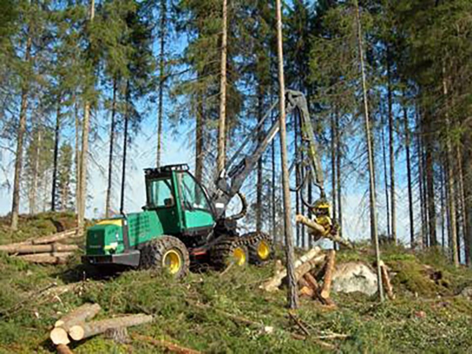 „Exploatări forestiere”