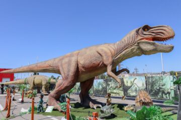 Sâmbătă se deschide la Iulius Mall Suceava expoziția de animale marine gigant și dinozauri animatronici. 50 de exemplare!
