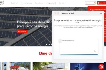 Asistent virtual pentru clienți, nonstop, disponibil pe site-ul Delgaz Grid