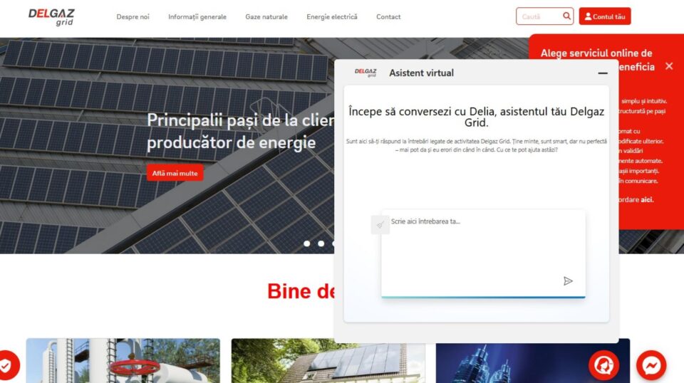 Asistent virtual pentru clienți, nonstop, disponibil pe site-ul Delgaz Grid