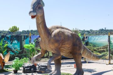 Sâmbătă se deschide la Iulius Mall Suceava expoziția de animale marine gigant și dinozauri animatronici. 50 de exemplare!