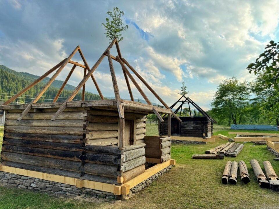 Bradul așezat pe structura acoperișului