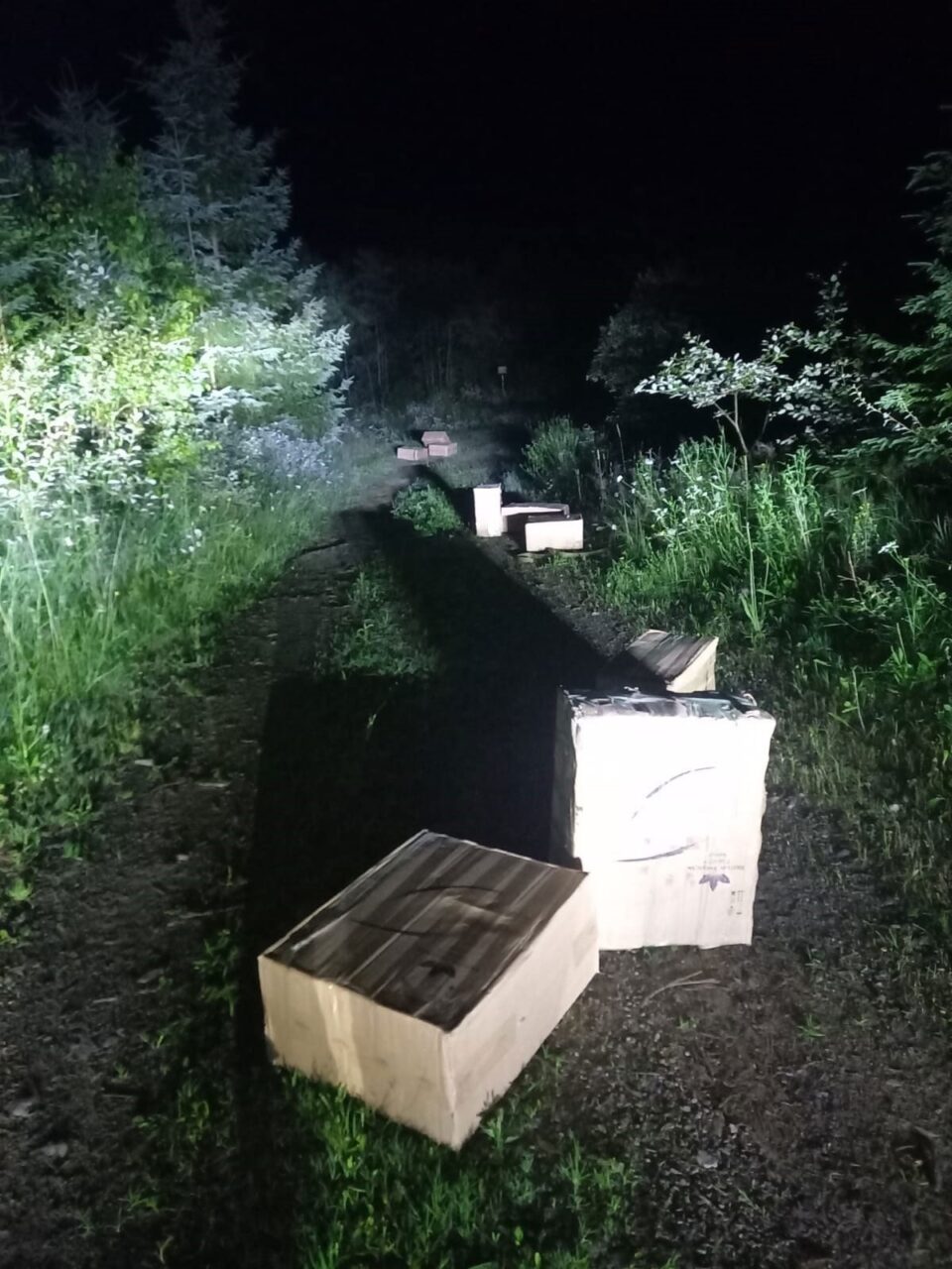 Peste 10.000 de pachete de țigări, abandonate de traficanți la vederea polițiștilor de frontieră