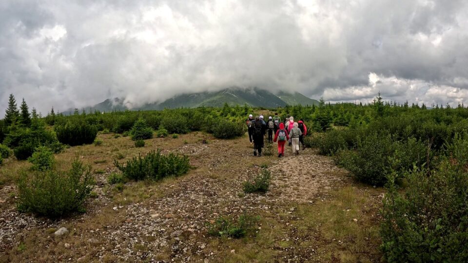 Mai mulți tineri suceveni au putut să observe în Parcul Național Călimani impactul activităților umane asupra mediului montan