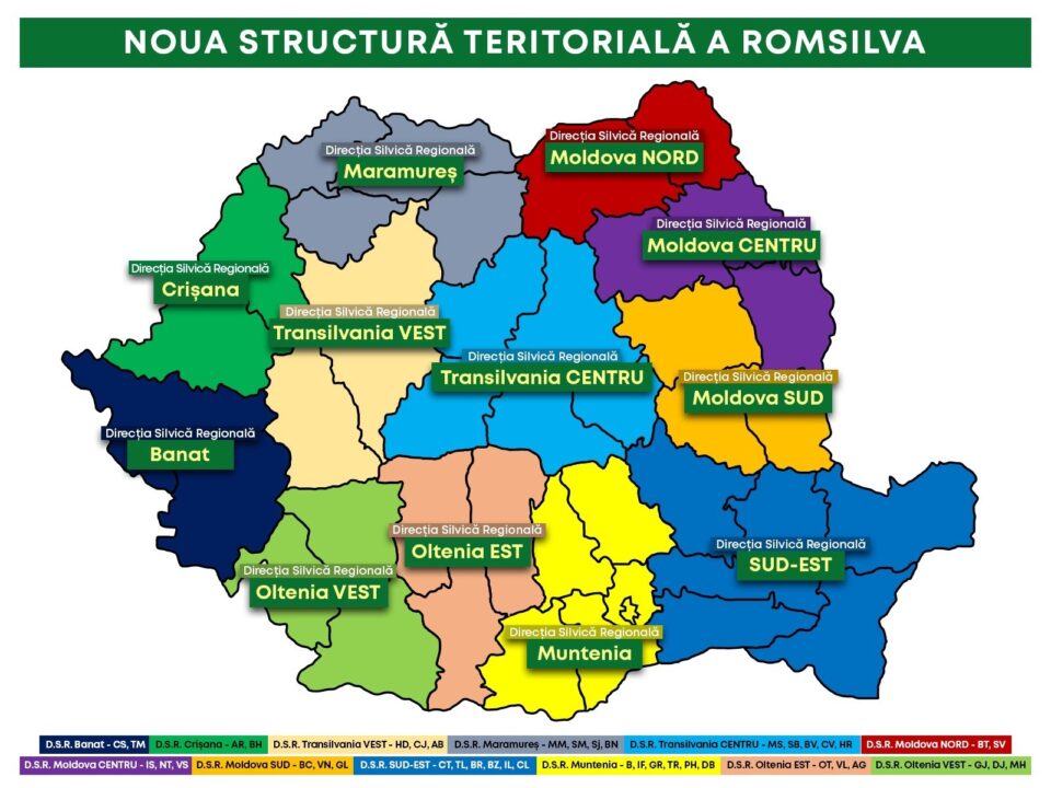 Direcțiile silvice Suceava și Botoșani se vor comasa și vor forma Direcția Regională Moldova Nord