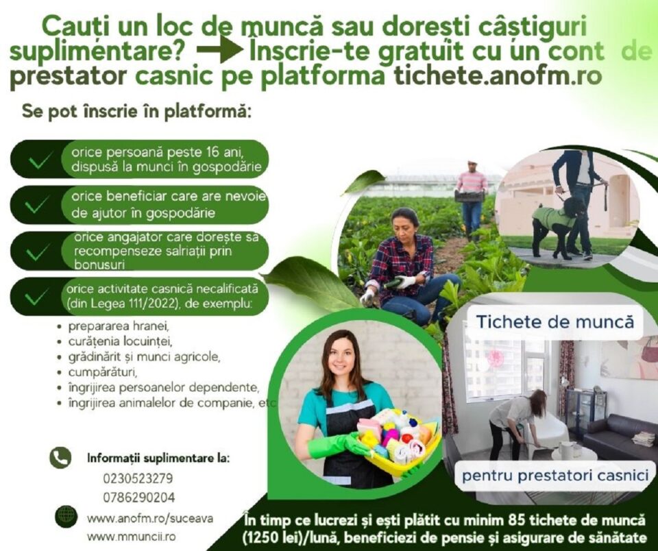 Sucevenii care au nevoie de o suplimentare de venituri, invitați pe o platformă cu peste 1.000 de oferte pentru activități casnice