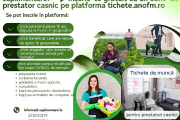 Sucevenii care au nevoie de o suplimentare de venituri, invitați pe o platformă cu peste 1.000 de oferte pentru activități casnice