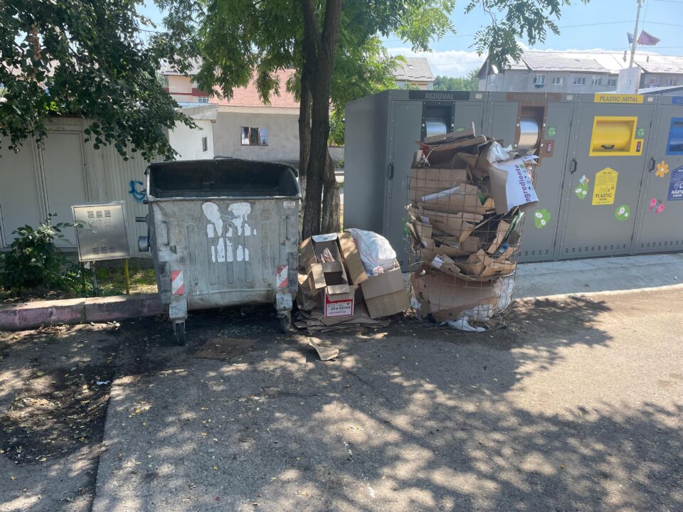 Iarba din curtea caselor le dă bătăi de cap locatarilor din Siret