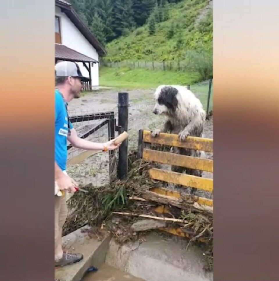 Gheorghe Sologiuc, voluntarul care a dus hrană animalelor de la casele afectate de inundații, la Broșteni