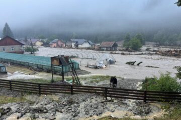 În inundațiile din Broșteni, Ostra și Stulpicani au pierit sute de păsări de curte și animale, iar 30 de exploatații piscicole au fost distruse