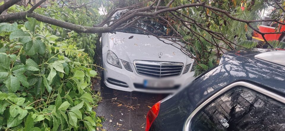 Ploaia puternică a inundat zona Bazarului din Suceava. La Fălticeni, un copac a căzut peste o mașină