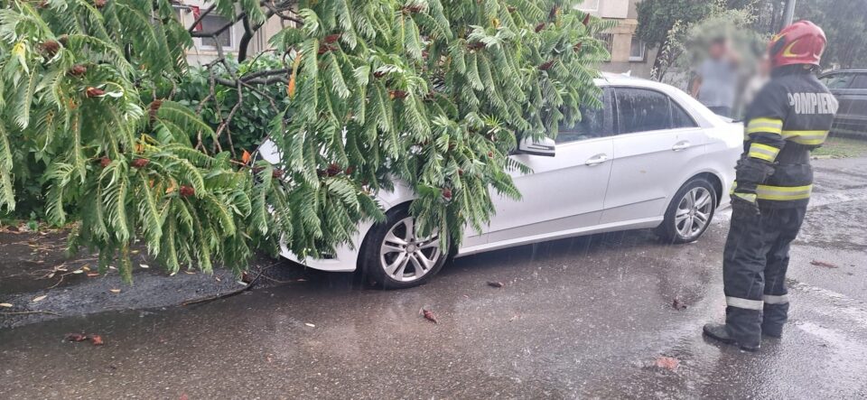 Ploaia puternică a inundat zona Bazarului din Suceava. La Fălticeni, un copac a căzut peste o mașină
